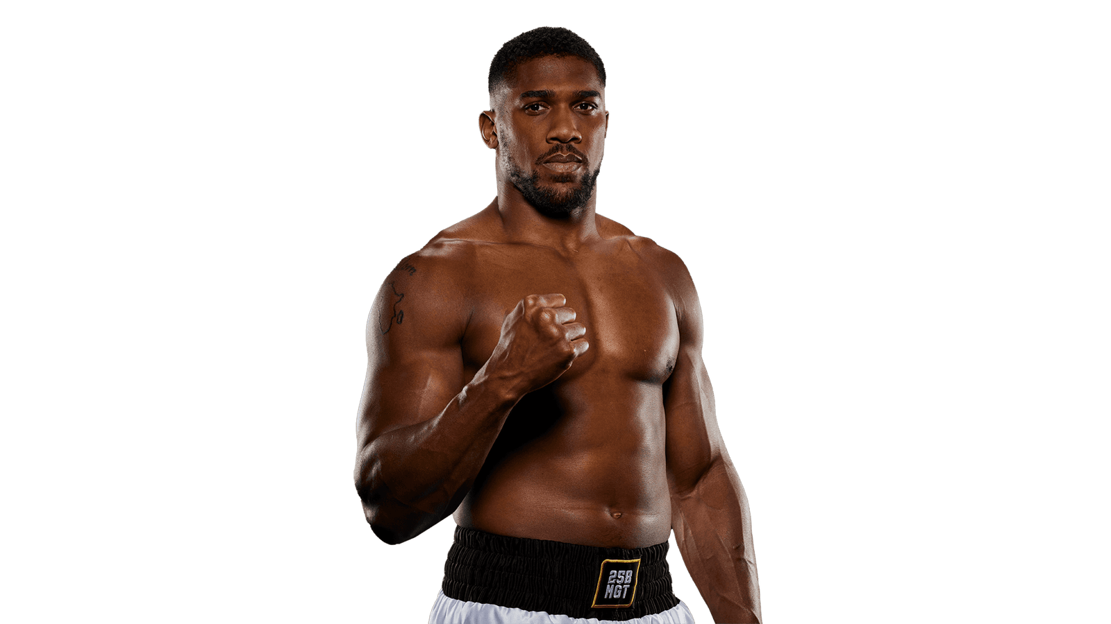 Anthony Joshua Net Worth