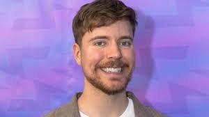 MR Beast Net Worth